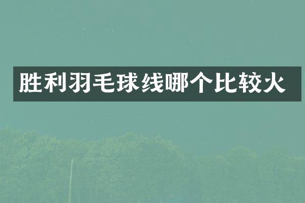 胜利羽毛球线哪个比较火