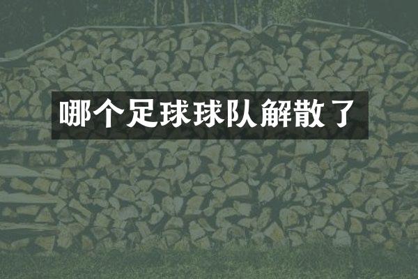哪个足球球队解散了