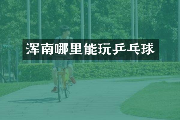 浑南哪里能玩乒乓球