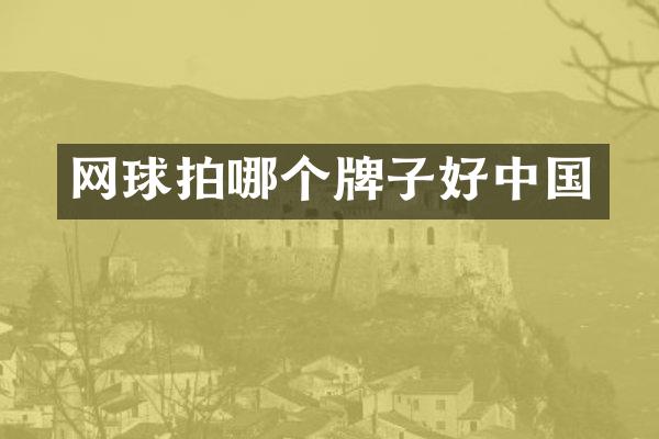 网球拍哪个牌子好中国