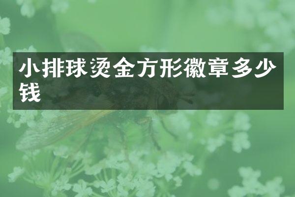 小排球烫金方形徽章多少钱