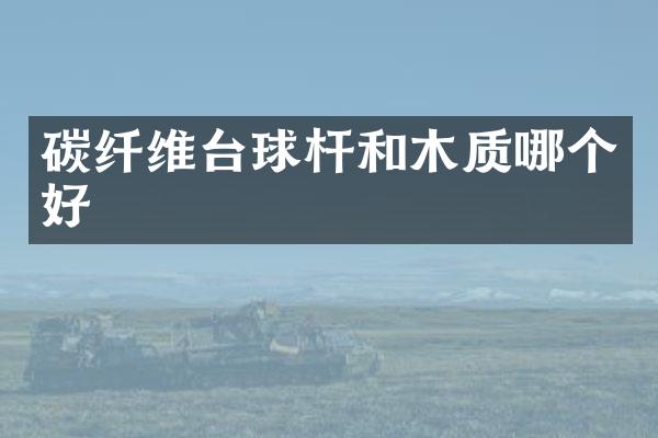 碳纤维台球杆和木质哪个好