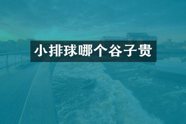 小排球哪个谷子贵