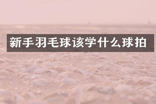 新手羽毛球该学什么球拍
