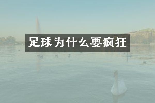 足球为什么要疯狂