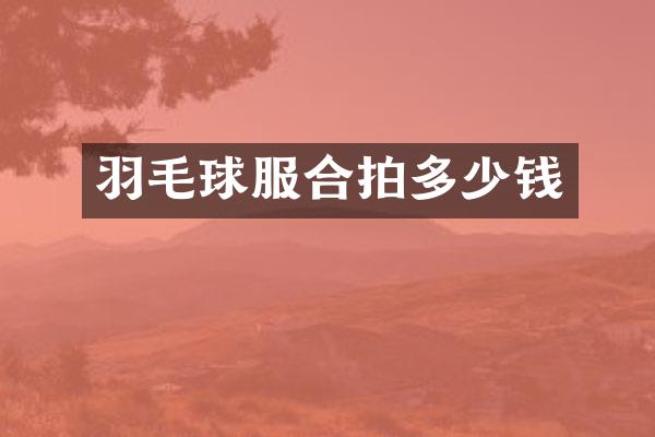 羽毛球服合拍多少钱