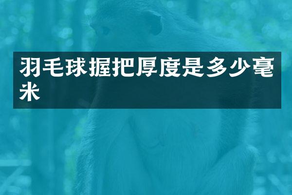 羽毛球握把厚度是多少毫米