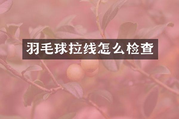 羽毛球拉线怎么检查