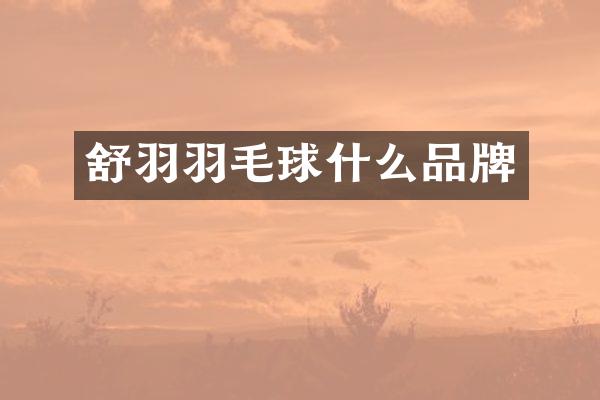 舒羽羽毛球什么品牌