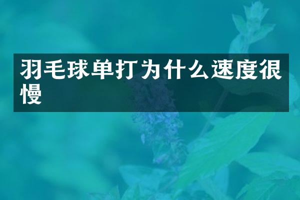 羽毛球单打为什么速度很慢