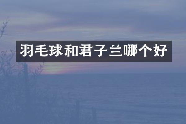 羽毛球和君子兰哪个好