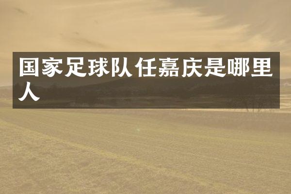 国家足球队任嘉庆是哪里人