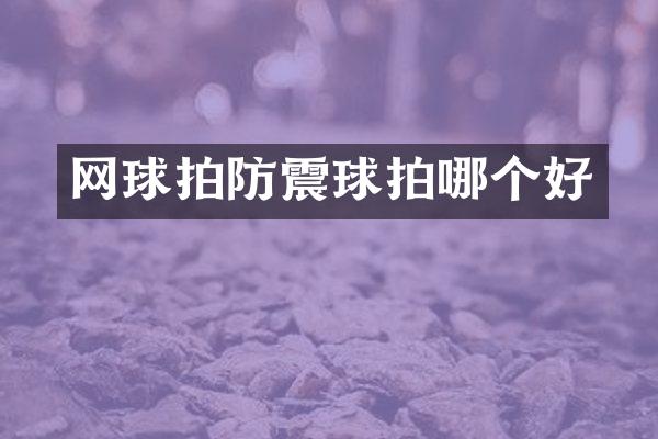 网球拍防震球拍哪个好