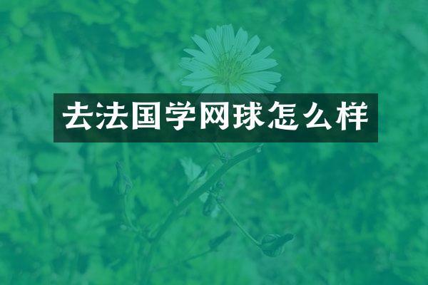 去法国学网球怎么样