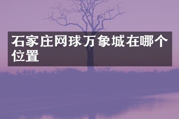 石家庄网球万象城在哪个位置