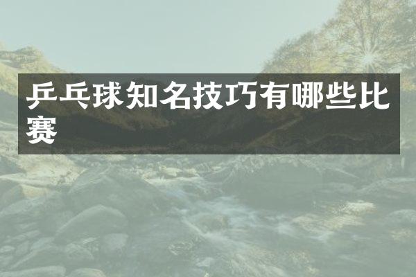 乒乓球知名技巧有哪些比赛