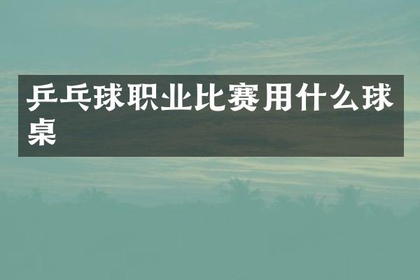 乒乓球职业比赛用什么球桌