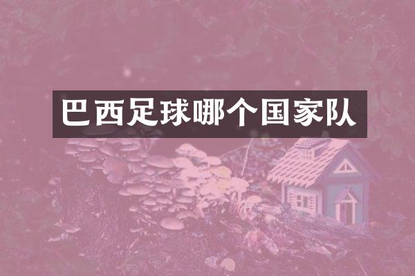 巴西足球哪个国家队