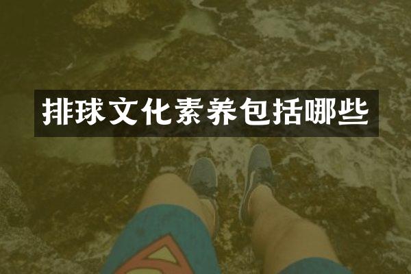 排球文化素养包括哪些