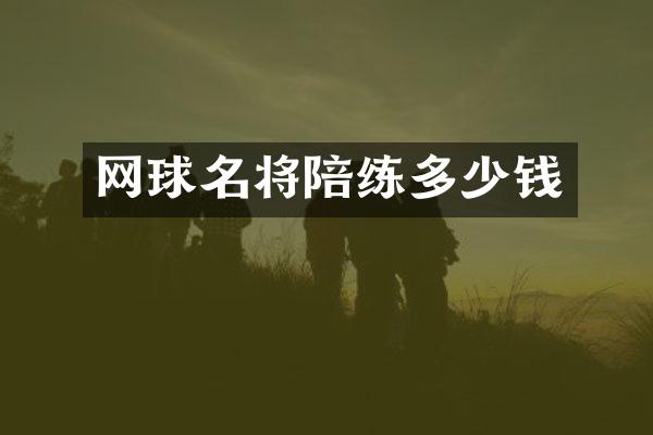 网球名将陪练多少钱