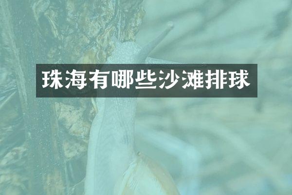 珠海有哪些沙滩排球