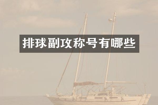 排球副攻称号有哪些