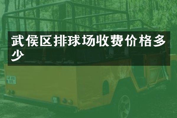 武侯区排球场收费价格多少
