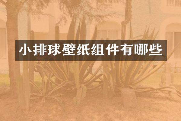 小排球壁纸组件有哪些