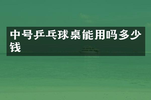 中号乒乓球桌能用吗多少钱