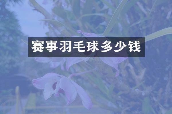 赛事羽毛球多少钱