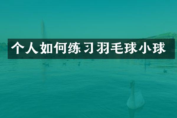 个人如何练习羽毛球小球
