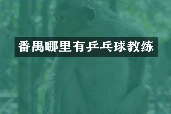 番禺哪里有乒乓球教练