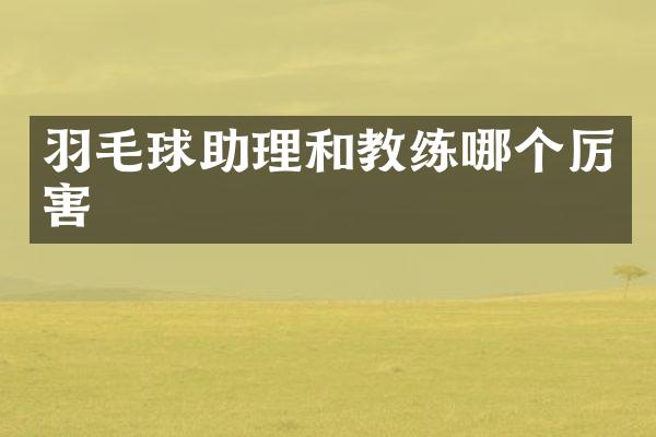 羽毛球助理和教练哪个厉害