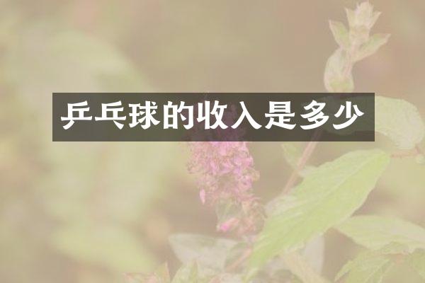 乒乓球的收入是多少