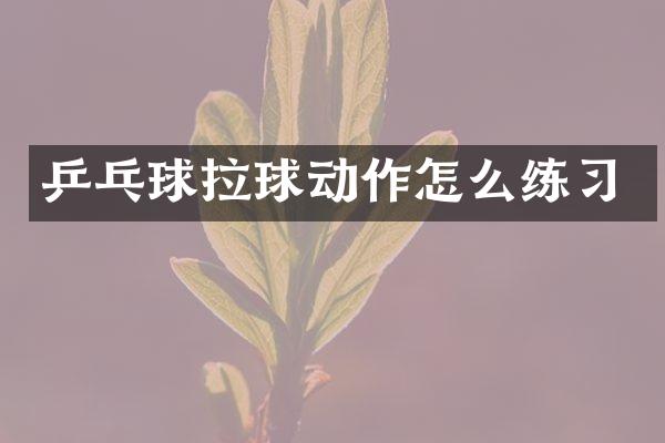 乒乓球拉球动作怎么练习