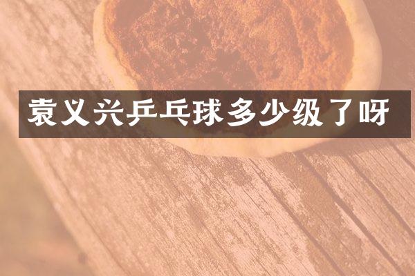 袁义兴乒乓球多少级了呀