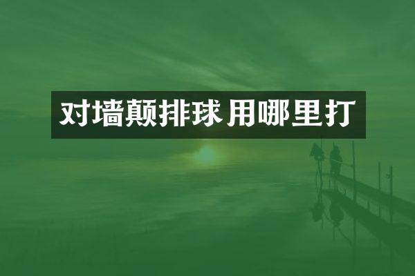 对墙颠排球用哪里打