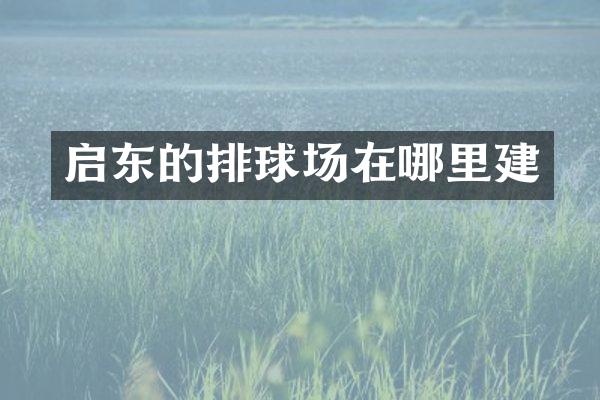 启东的排球场在哪里建