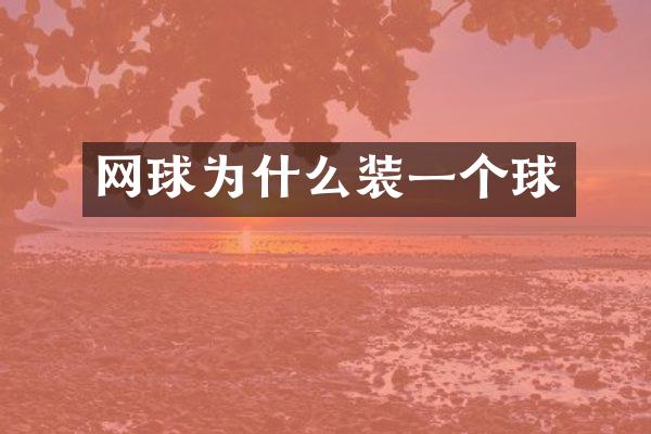 网球为什么装一个球