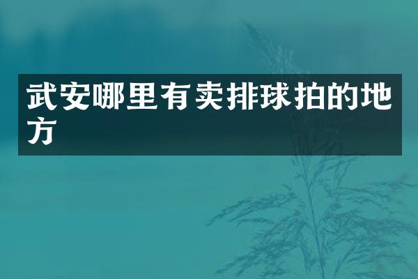 武安哪里有卖排球拍的地方
