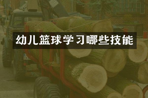 幼儿篮球学习哪些技能
