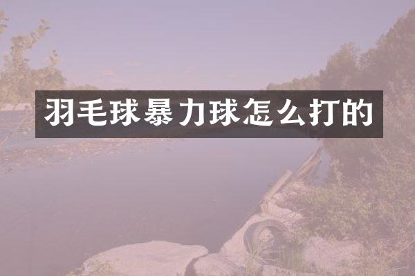 羽毛球暴力球怎么打的