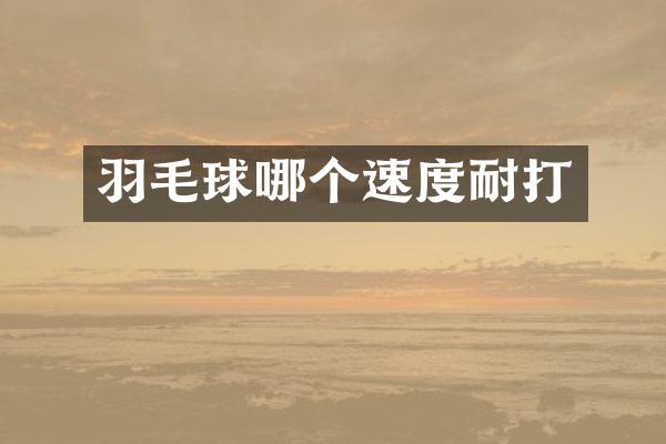 羽毛球哪个速度耐打