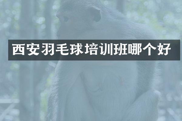 西安羽毛球培训班哪个好