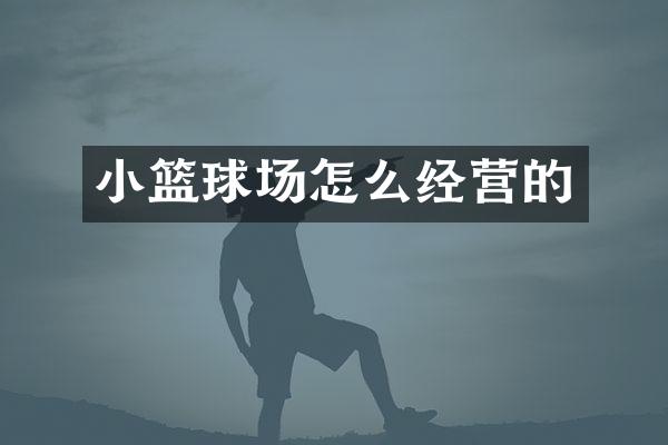 小篮球场怎么经营的