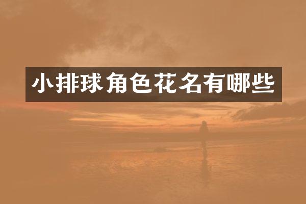 小排球角色花名有哪些
