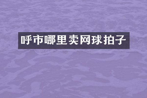 呼市哪里卖网球拍子