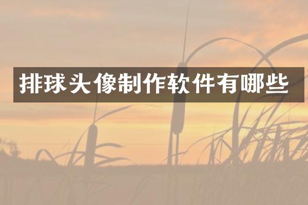 排球头像制作软件有哪些