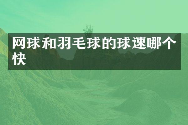 网球和羽毛球的球速哪个快