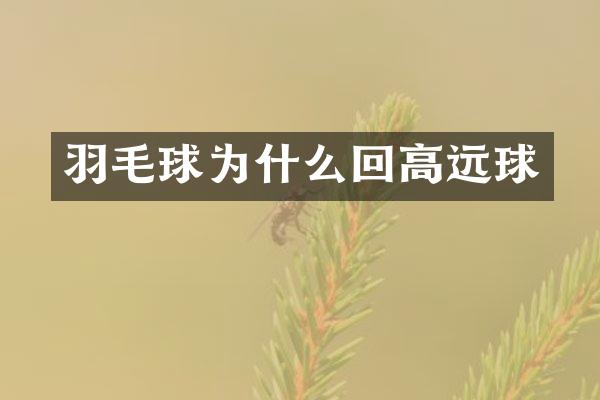 羽毛球为什么回高远球